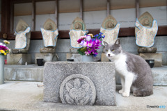 お地蔵さまと