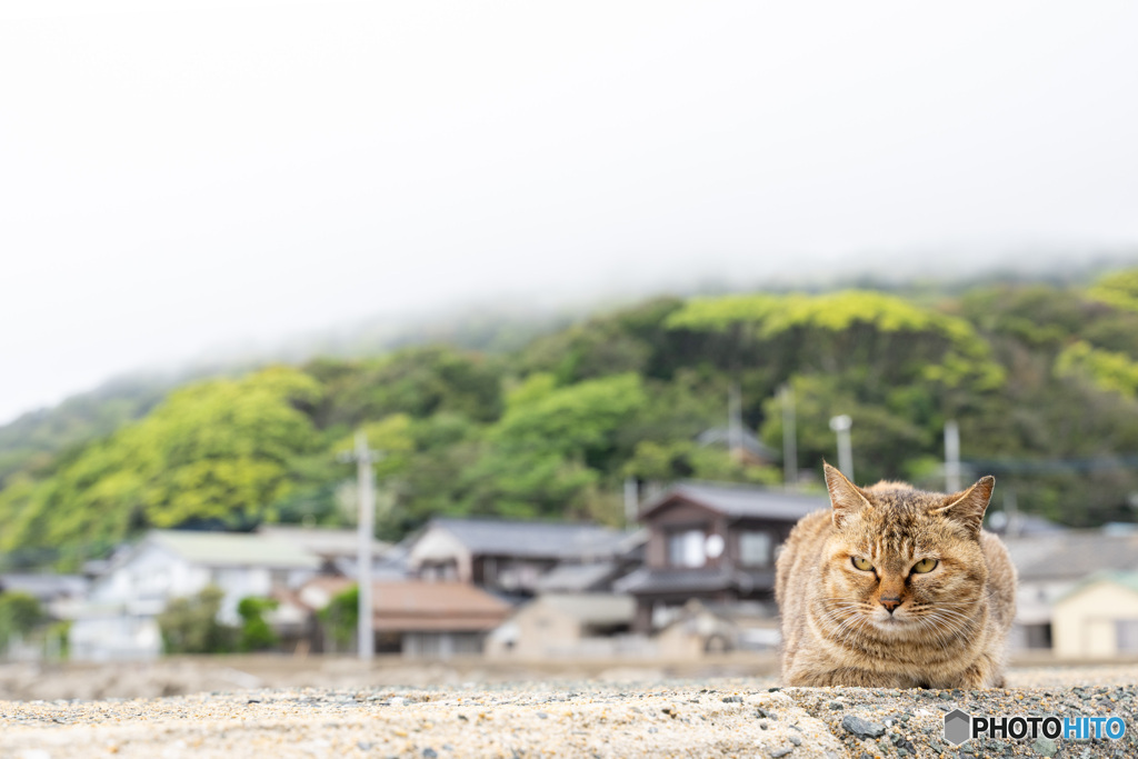 濃霧の日