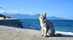 海が似合うよね、君は