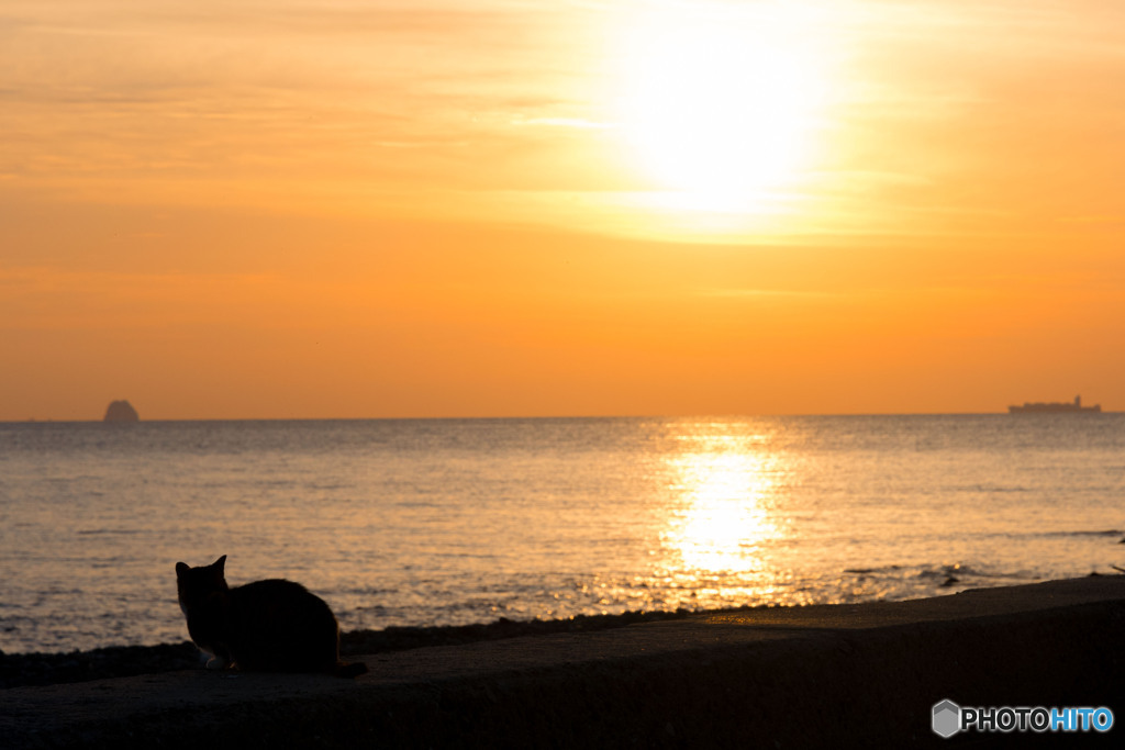 秋の日は釣瓶落とし（1）