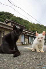 ワタシの行く道をさえぎる子（1）