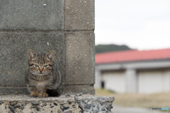 おチビさん