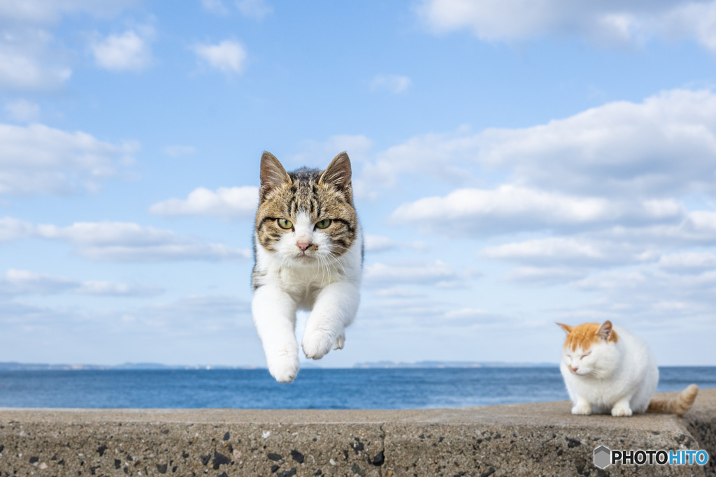 飛び出さずにはいられない