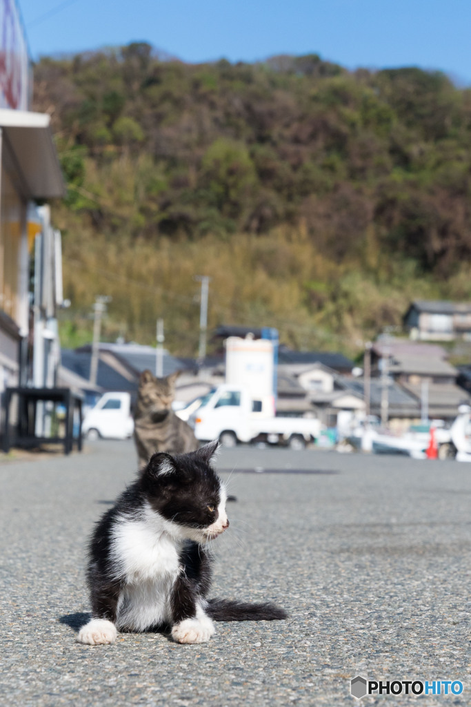 小さい秋みつけた。小さい子みつけた。
