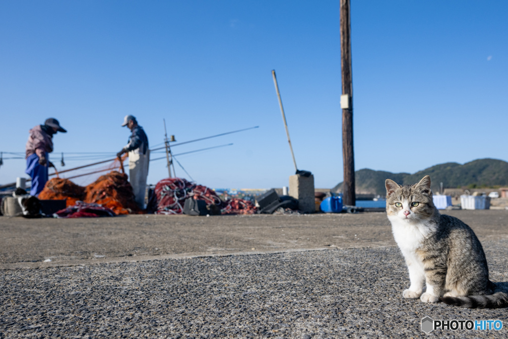 お魚待ってるおチビさん