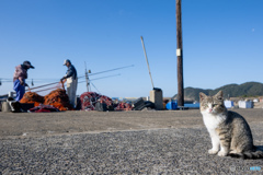 お魚待ってるおチビさん