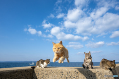ゴーゴーチャイロくん