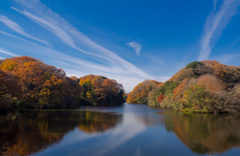 室池