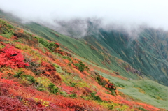 群馬－新潟県境2,000m付近