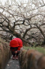 なに拾ってんだろ？