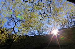 屏風岩---850m