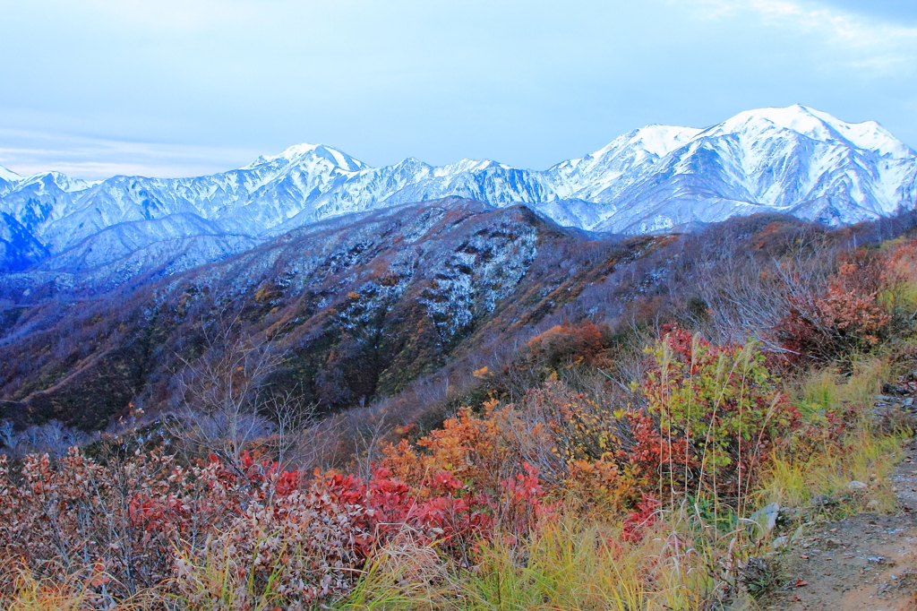 紅葉、枯木、そして雪山