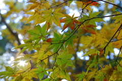 今年も群馬の森
