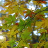 今年も群馬の森