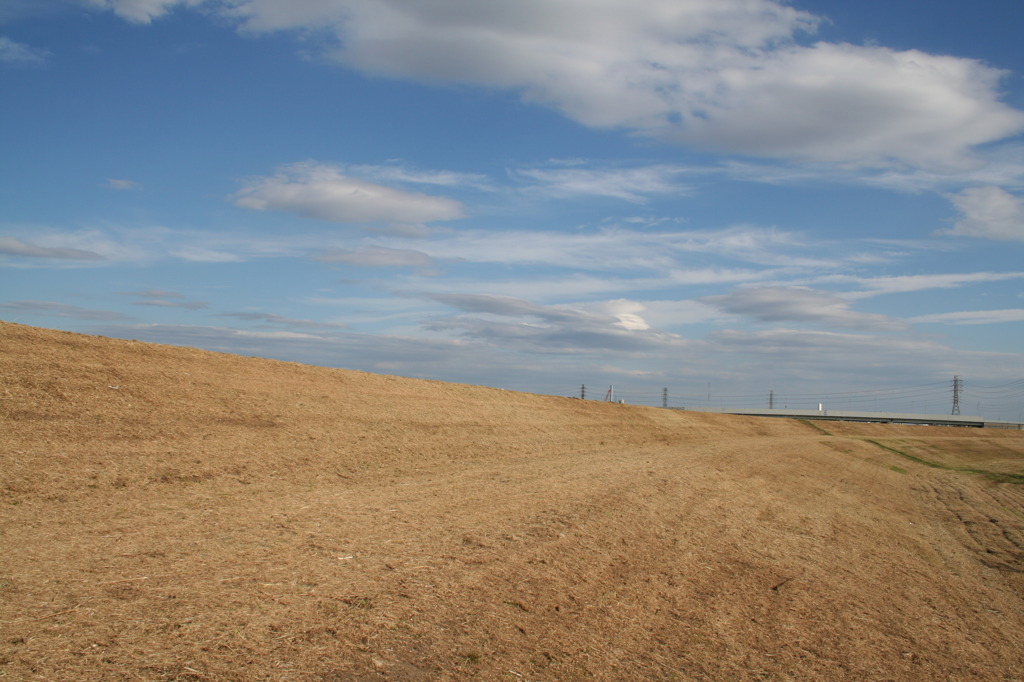 とある日の散歩道3