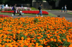 休日の公園で