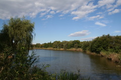 自然公園の一角