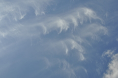 秋の空