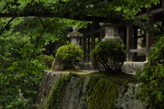 緑の回廊