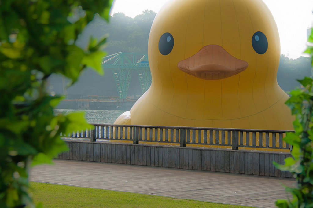 巨大アヒルｗ