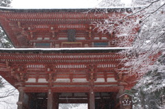 初雪の仁王門