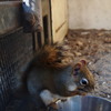 食欲の秋