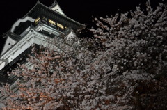 熊本城