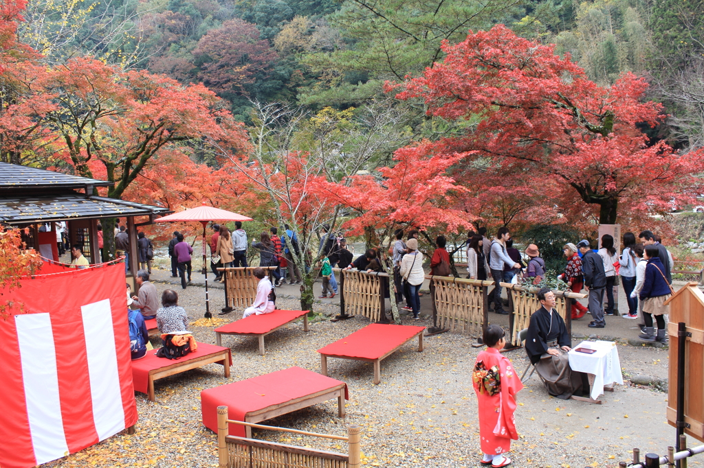 もみじ祭りのお茶席