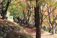 人気の撮影スポット