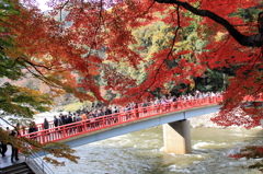香嵐渓１１月２０日