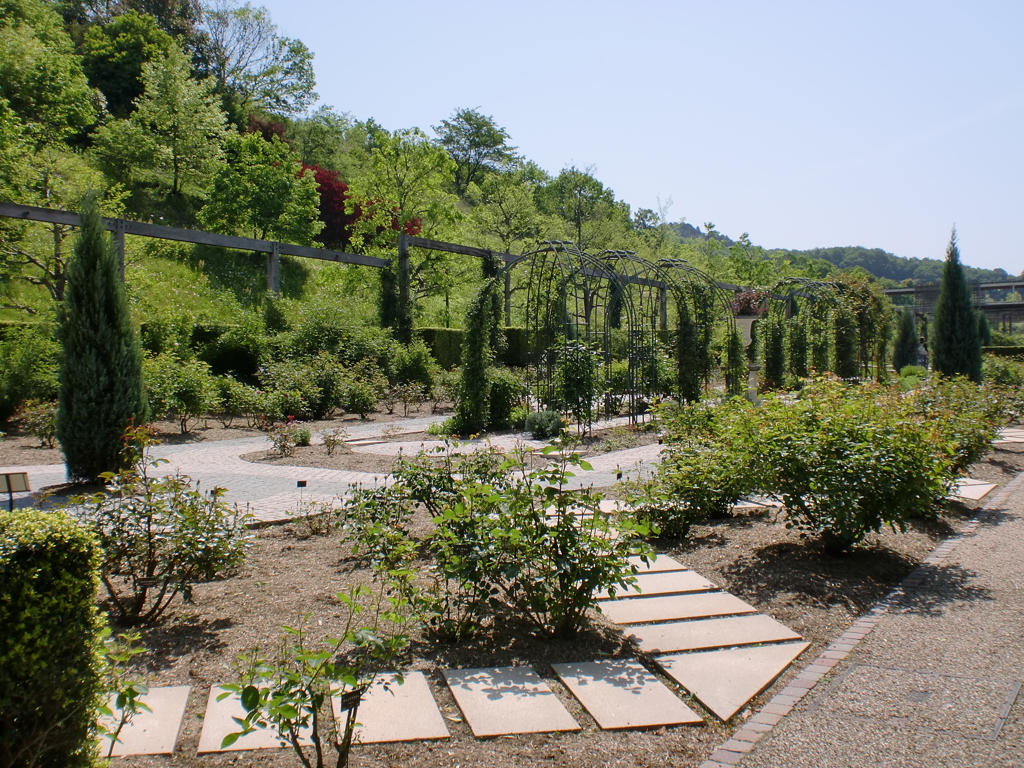 バラ園
