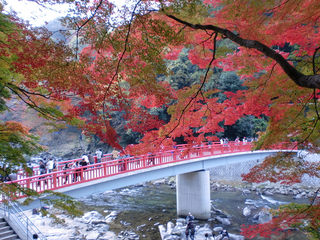 ２０１０年１１月２０日の香嵐渓