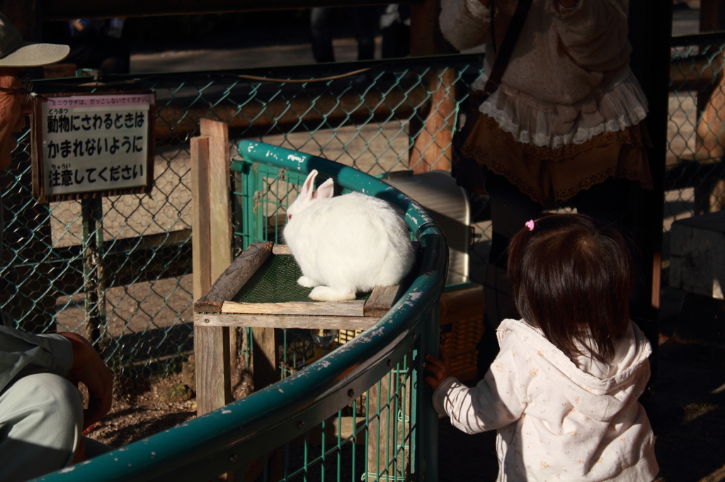 「さわってごらん」