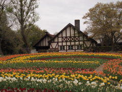 ドイツの森公園