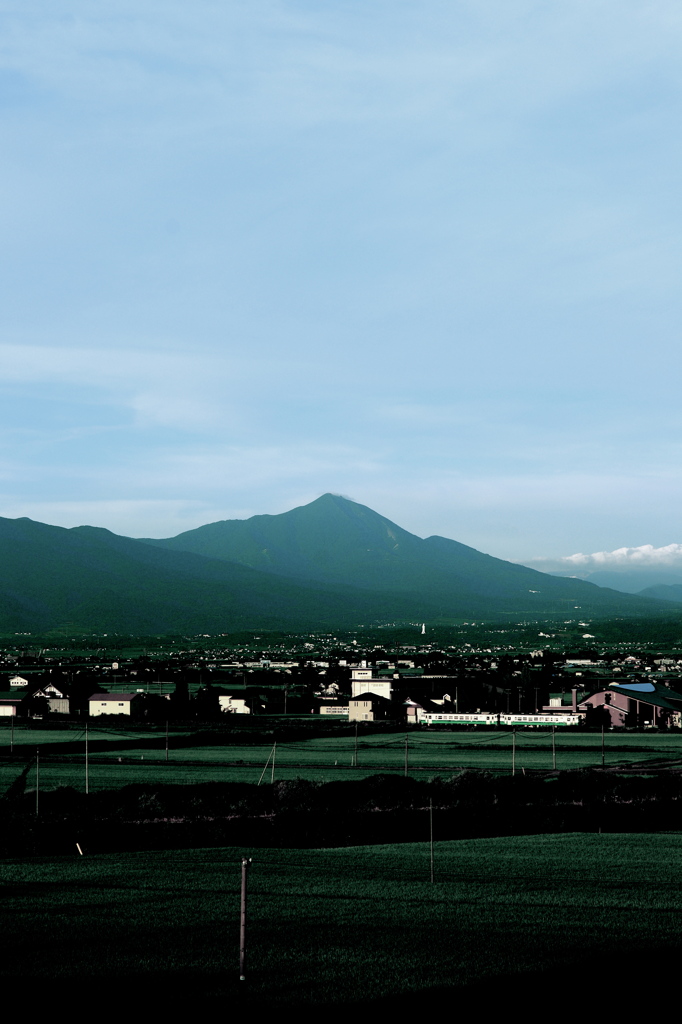 電車のいる風景