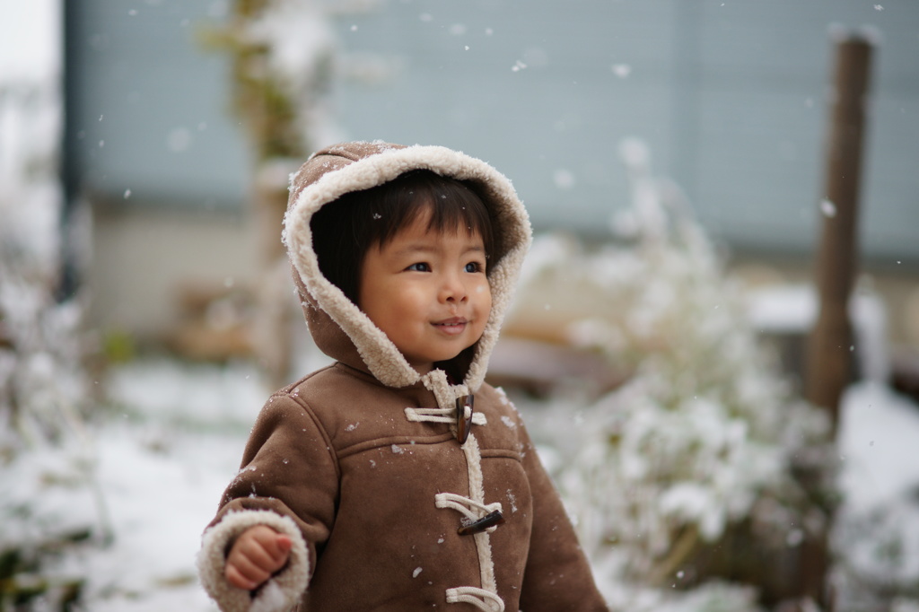 初雪