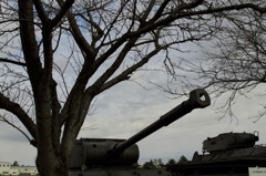 戦車と桜の木