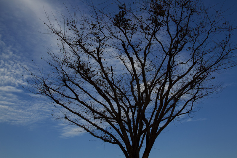 秋の空