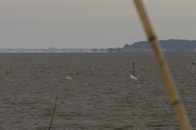 霞ヶ浦の蜃気楼