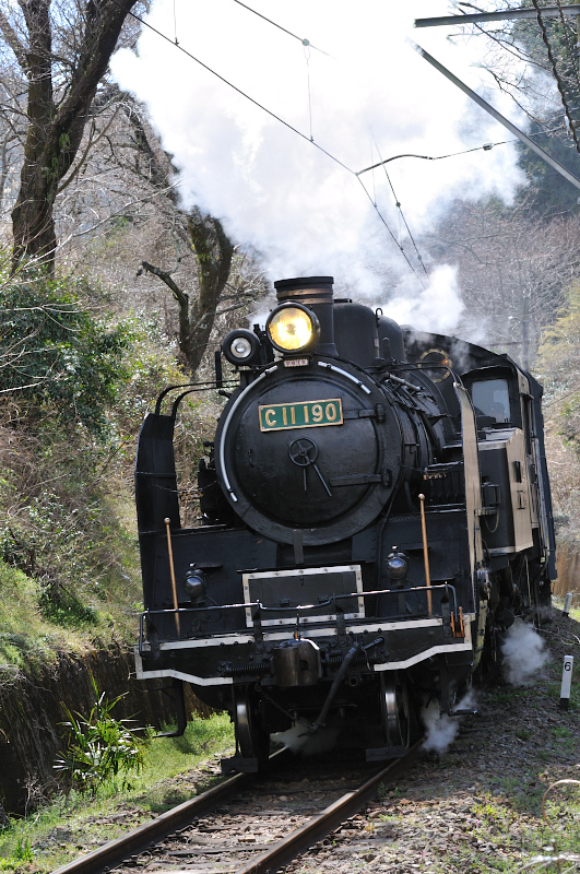 【大井川鐵道】SL