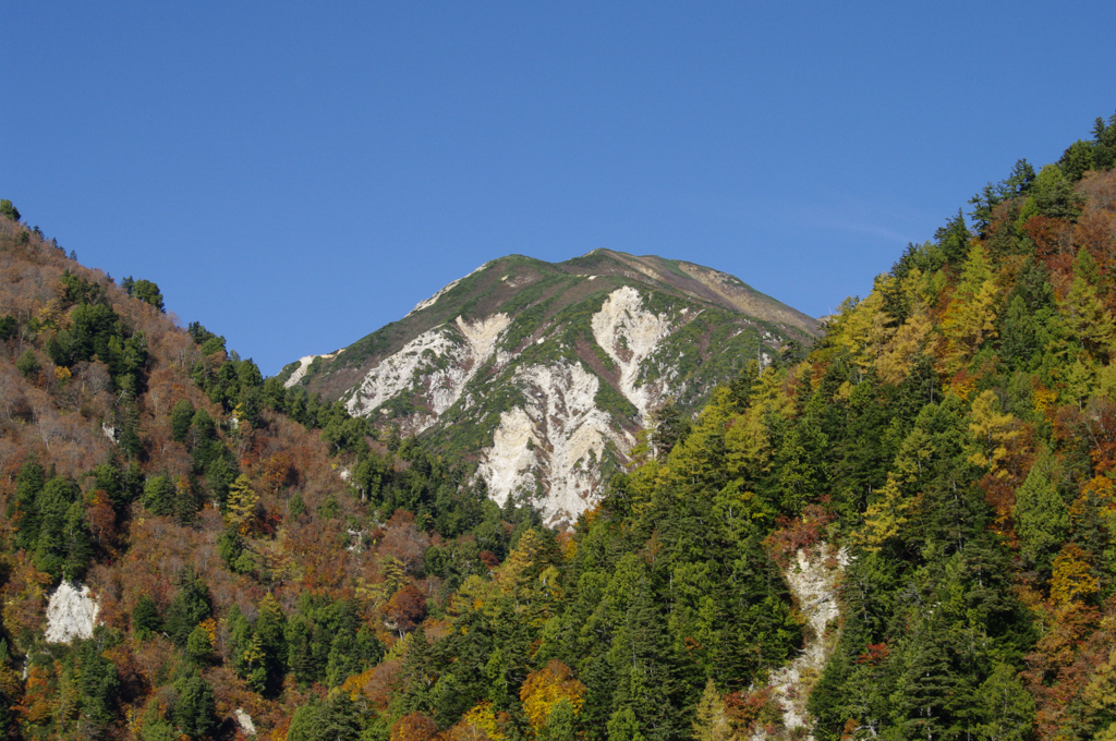 紅葉の季節