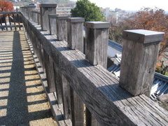 小春日和
