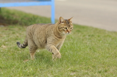 こっち来て