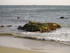 浜辺にて