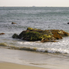 浜辺にて