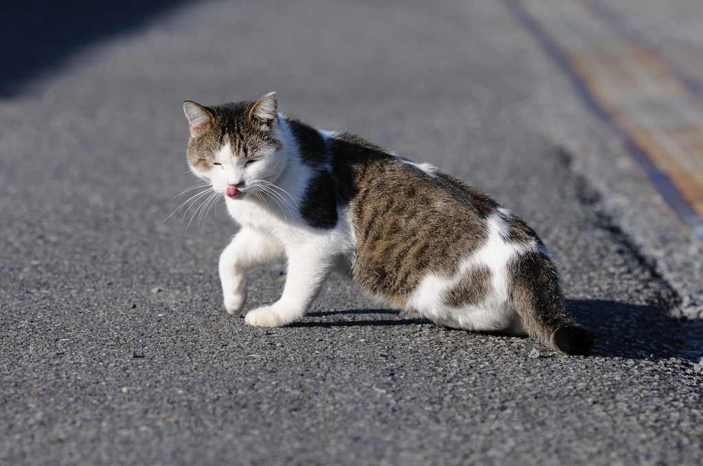 よっこいしょ