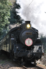 【大井川鐵道】春のSL