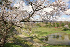 秋田城跡