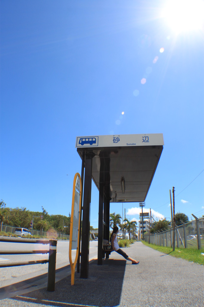 バスコナイ・・・・