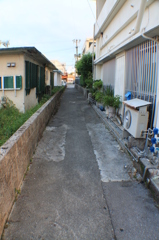 路地
